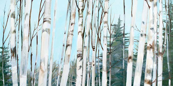Aspen Forest